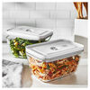 Load image into Gallery viewer, ZWILLING Fresh &amp; Save 2-pc Large Vacuum Container, Glass, Grey
