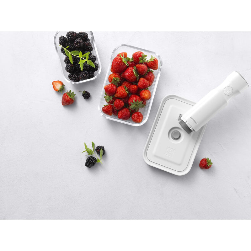 Load image into Gallery viewer, ZWILLING Fresh &amp; Save 3-pc Small/Medium/Large Vacuum Container Set, Grey
