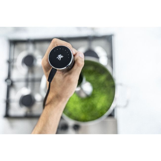 Load image into Gallery viewer, Zwilling Enfinigy Hand Blender
