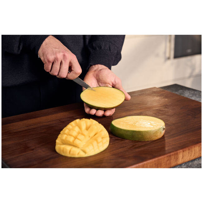 Load image into Gallery viewer, Zwilling Spectrum 4" Paring Knife
