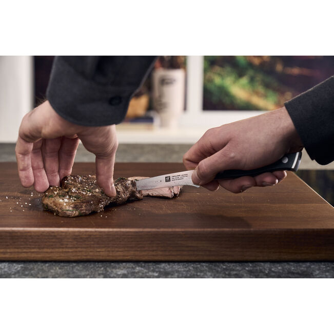 Load image into Gallery viewer, Zwilling Spectrum 4-Piece Steak Knife Set
