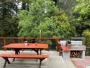 Tagwood BBQ Santa Maria Argentine Wood Fire & Charcoal Grill Built in | BBQ05SS