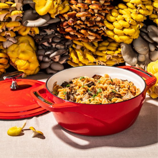 Load image into Gallery viewer, Lodge USA Enamel™ 3 Qt. Enameled Cast Iron Dutch Oven
