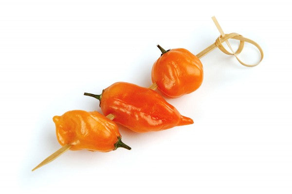 Load image into Gallery viewer, Steven Raichlen Knotted Bamboo Appetizer Skewers
